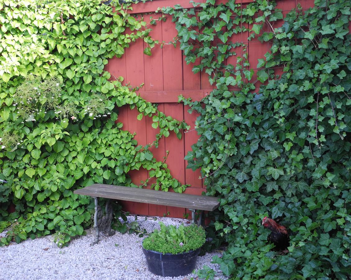 Villa Gina Oesterlen Sankt Olof ภายนอก รูปภาพ
