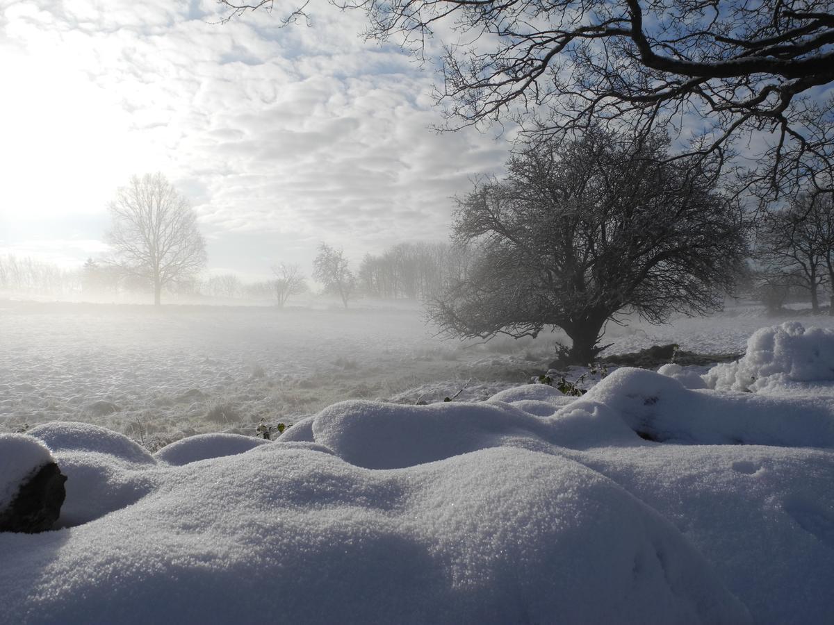 Villa Gina Oesterlen Sankt Olof ภายนอก รูปภาพ