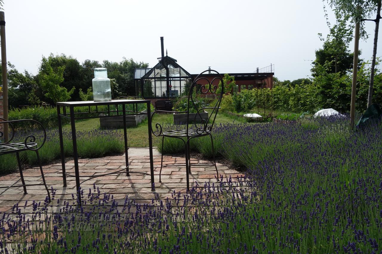 Villa Gina Oesterlen Sankt Olof ภายนอก รูปภาพ